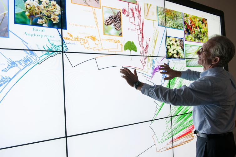 UF biologist Doug Soltis uses the Tree of Life, a map of all named species.