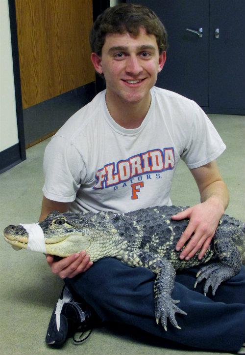 Evan Whiting with Alligator