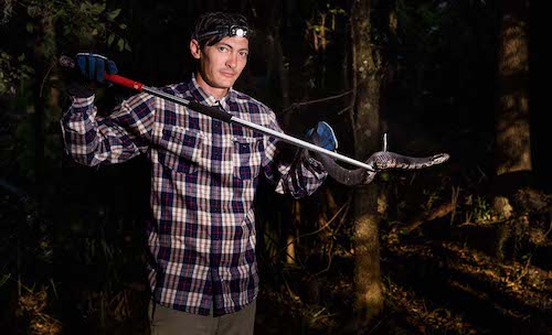 snake researcher holds cottonmouth in the dark