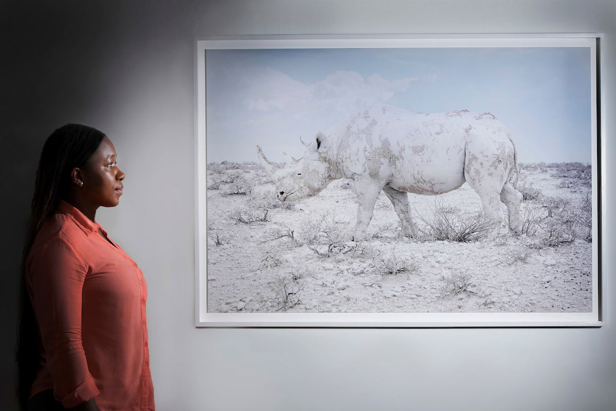 Zoe nhleko with a portrait of a white rhino 