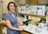 IFAS assistant professor Andrea Lucky and her citizen science specimen collection project, known as the School of Ants.