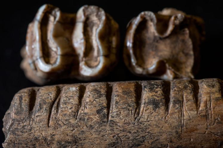ancient teeth from a Maya site