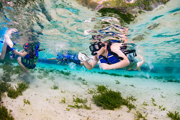 students snorkeling in the springs shot from underwater