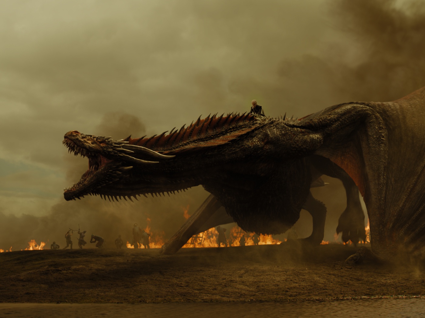 Our expert takes on your burning dragon questions - News - University of  Florida