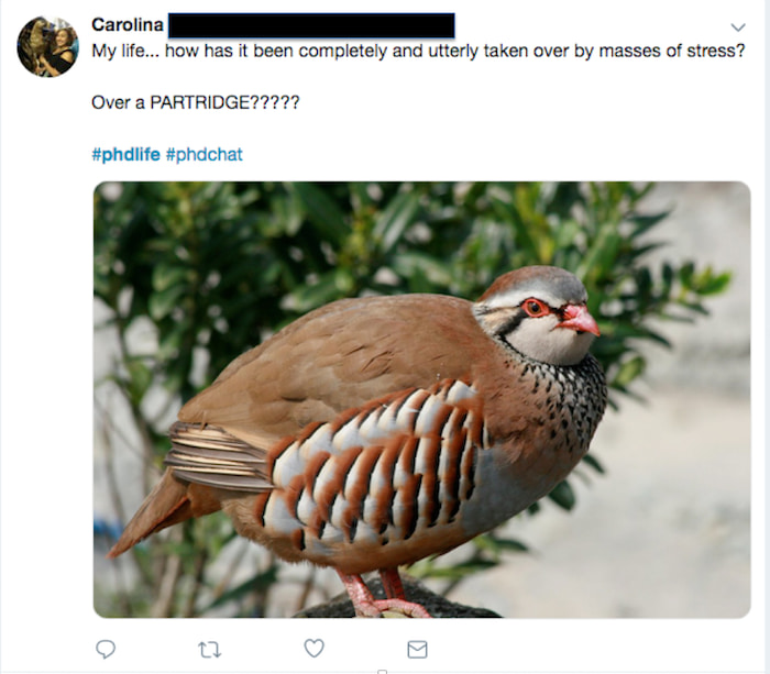 a tweet about thinking your life is messed up because you're stressing about a partridge. 