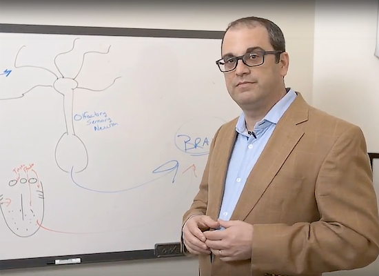 Steven munger with a whiteboard drawing of olfactory nerves