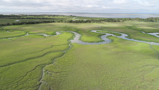 a coastal salt marsh which is surprisingly beautiful with spring green reeds and a wandering river.