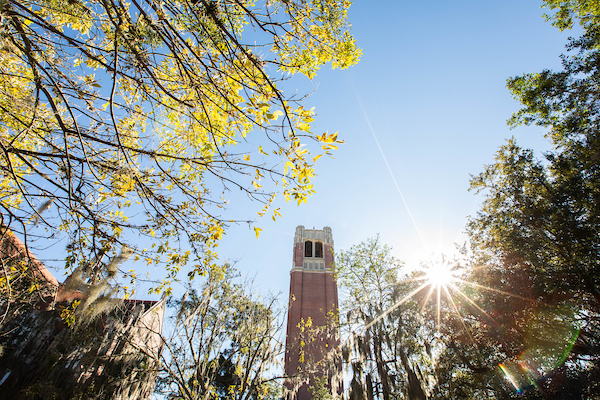 University of Florida earns top marks for assessment of student learning  