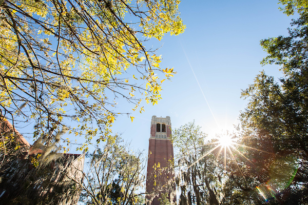 a photo of century tower framed by trees