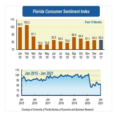 Consumer confidence stays the course in January anticipating slow recovery through 2021