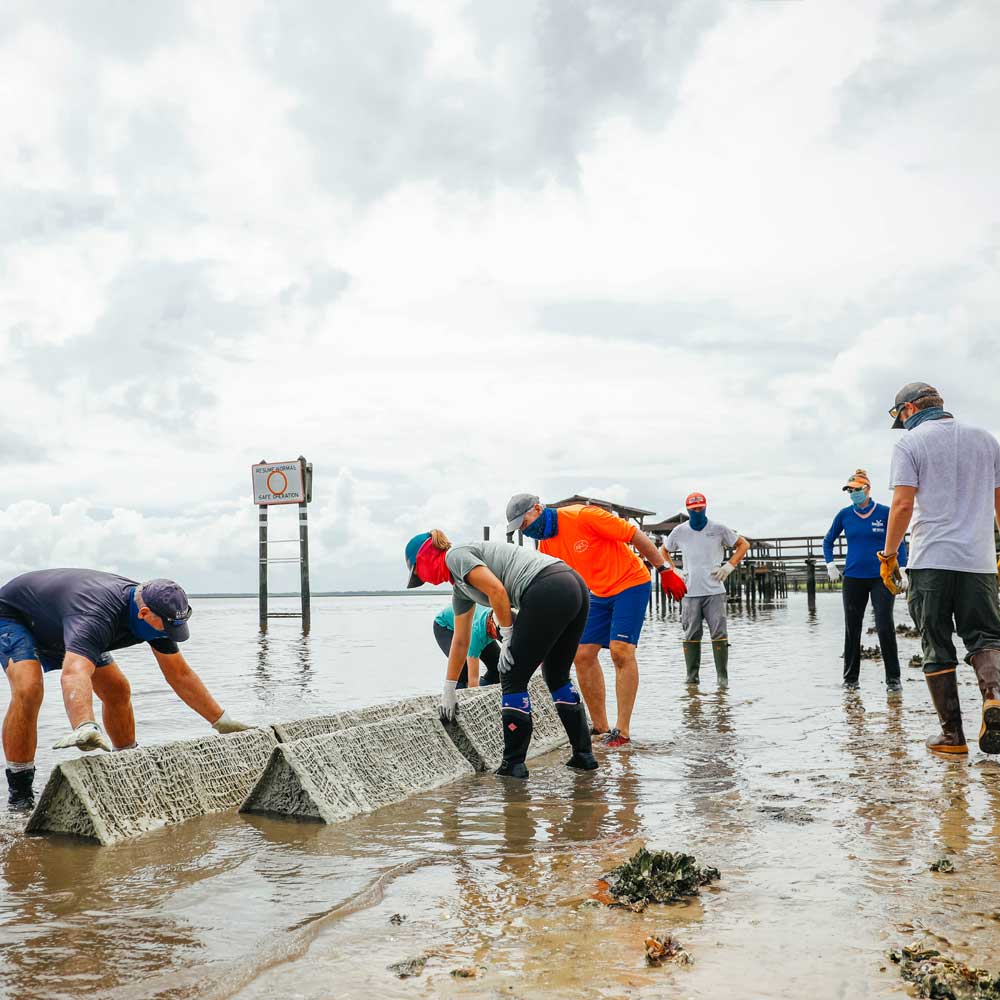 Scientists check research equipment on the shore