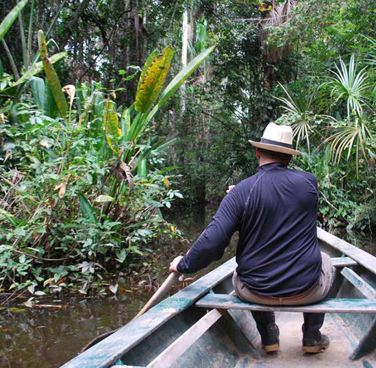 A man paddles a canoe through a river with a dense, low canopy of branches ahead.