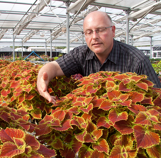 David Clark and his coleus cultivars.