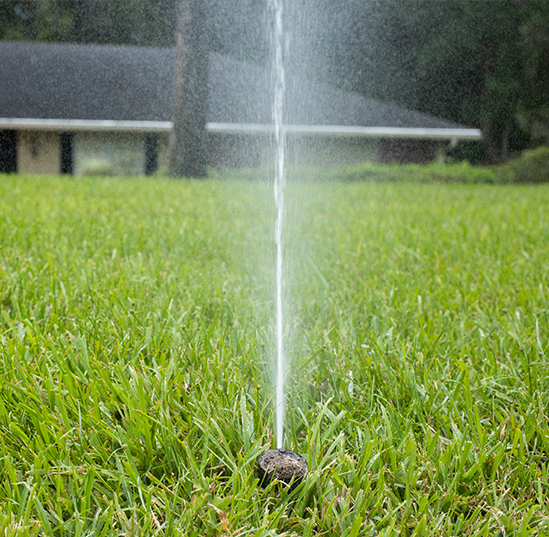 Friends, neighbors help influence our irrigation decisions, UF research shows