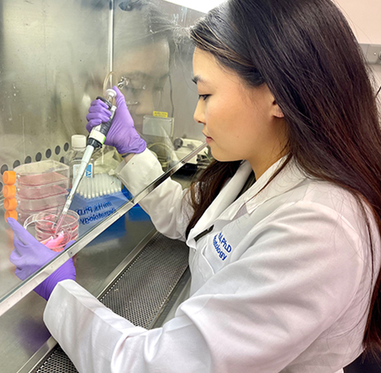 New UF research sets stage for development of salmonella vaccine