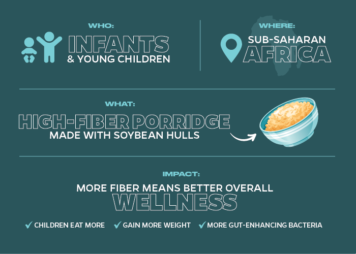 A graphic details how infants and young children in Sub-Saharan African who consumed a high-fiber porridge made with soybean hulls contributed to better overall wellness in the children by having them eat more, they gained more weight and they had more gut-enhancing bacteria.