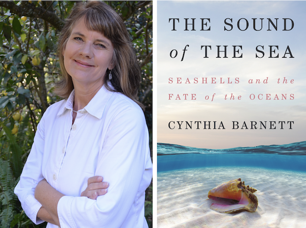Author Cynthia Barnett and her new book about seashells 