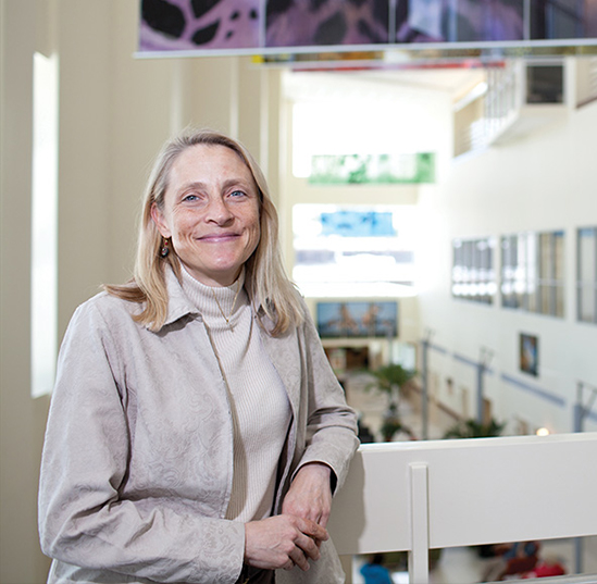  Dana Zimmel named dean of UF's College of Veterinary Medicine