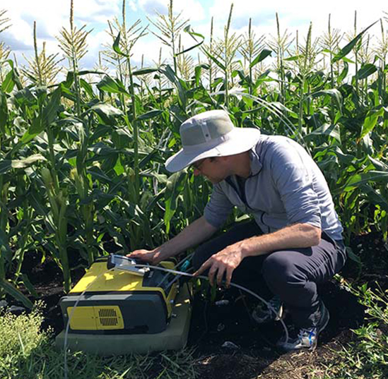 UF/IFAS study links soil fertility, nutrient loss in organic soils to activity of archaeal microbes