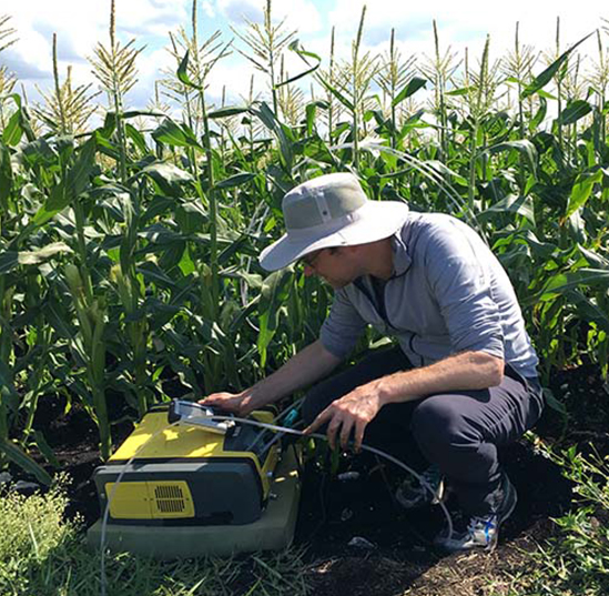 Dr. Martens-Habbena measuring soil microbial activities in a sweet corn field.