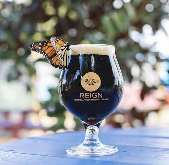 Raise a glass to butterflies: New beer aims to restore monarch breeding habitat