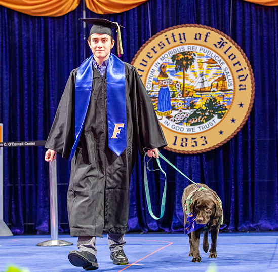 A young man in a graduation cap and gown walks a chocolate Labrador Retriever across a stage