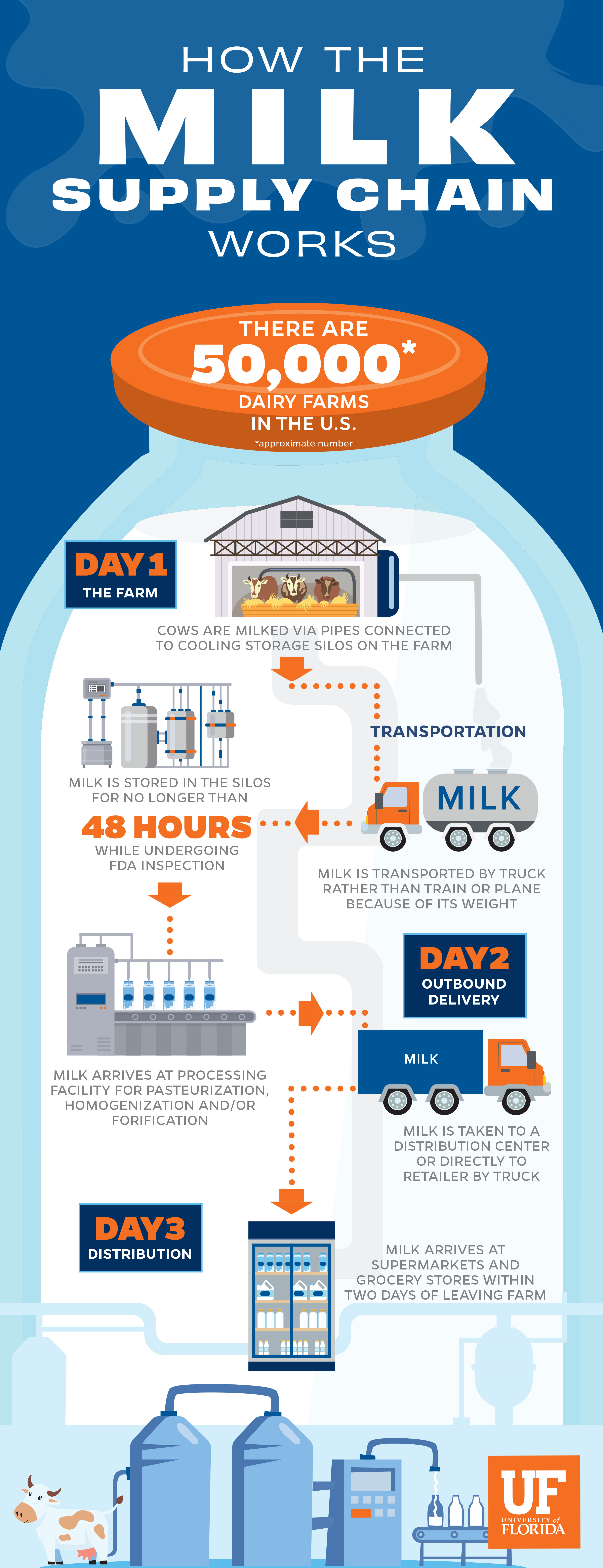 A graphic explains the process of the milk chain supply