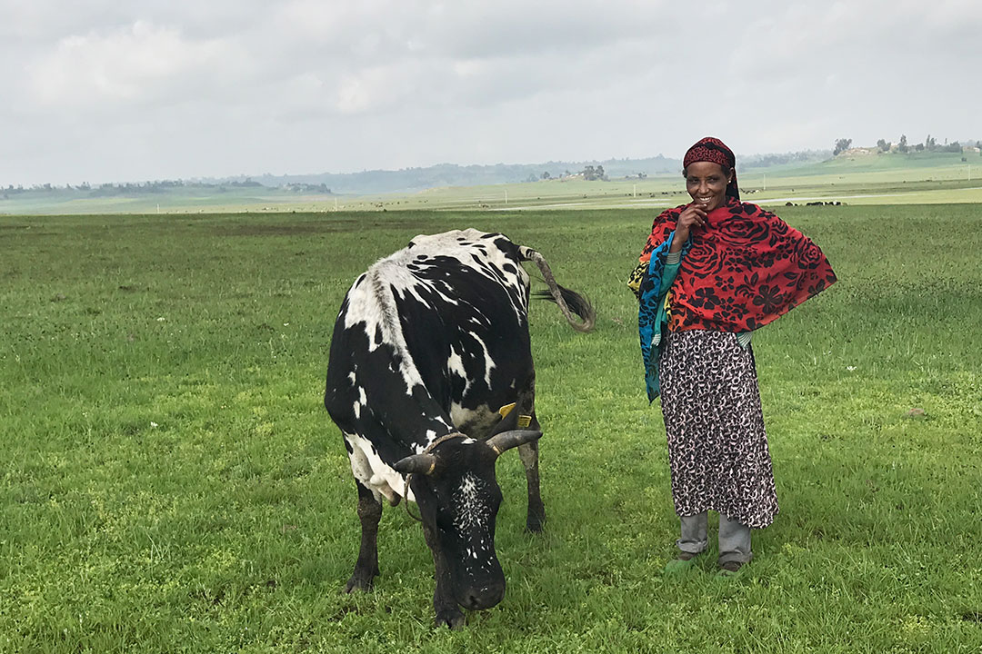 A female farmer stands next to a cow in a field