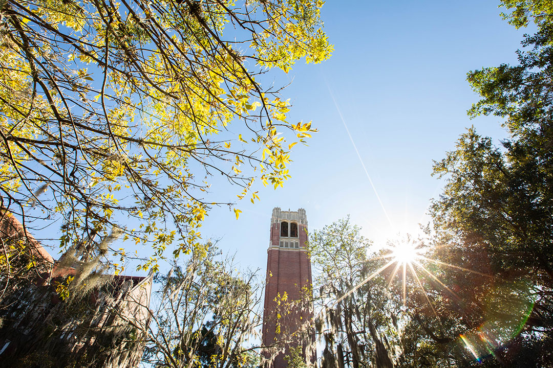 An image of Century Tower at the University of Florida campus.