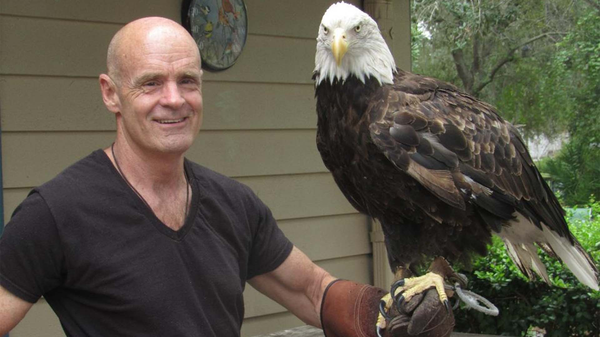 Jack Davis con Sarge el águila, una hembra no voladora que vive en Largo, Florida.