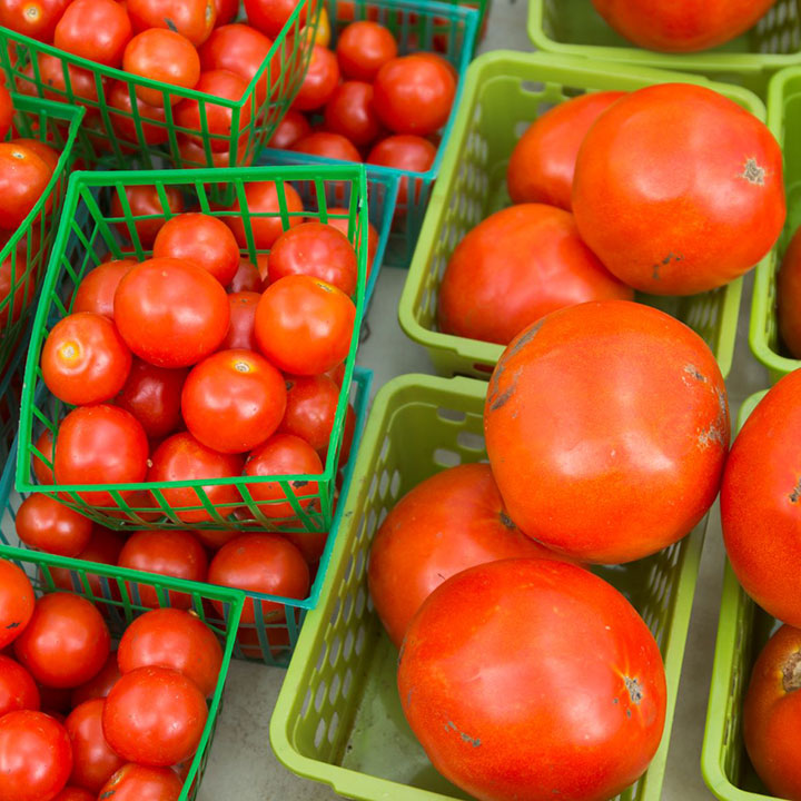 How researchers are improving the flavor of tomatoes 