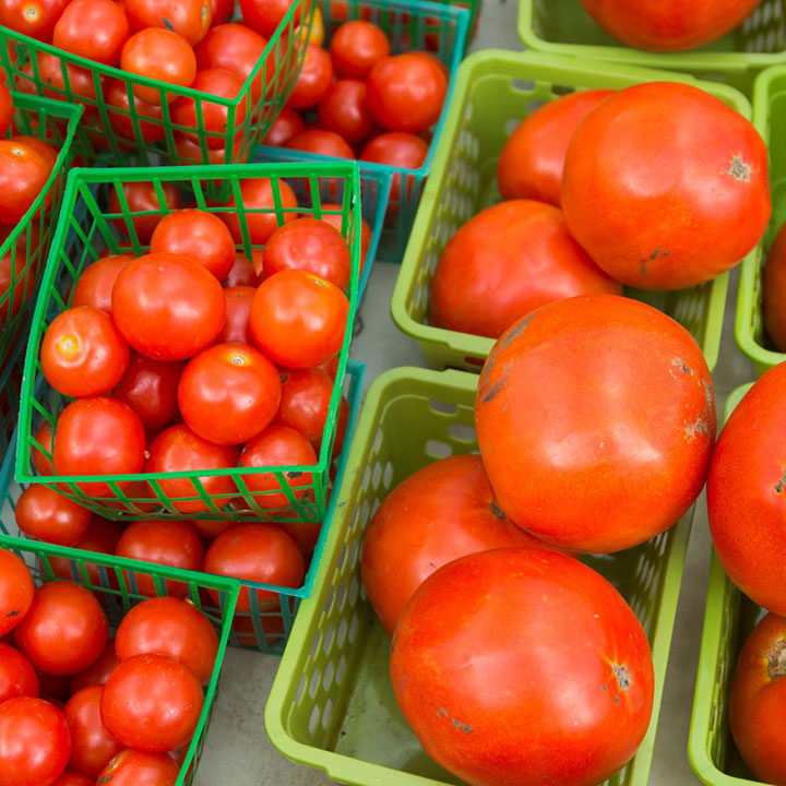 Tomatoes in several baskets