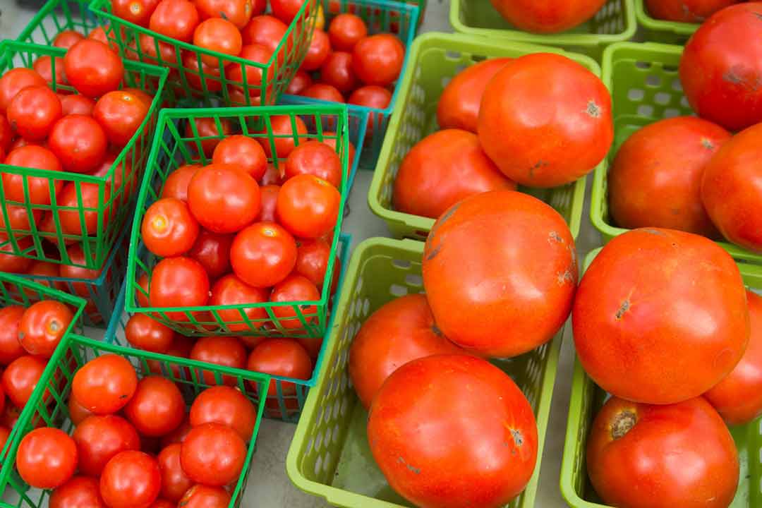 Tomatoes in several baskets