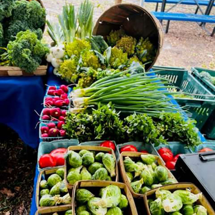 Making fresh produce affordable and accessible for patients with farmers market
