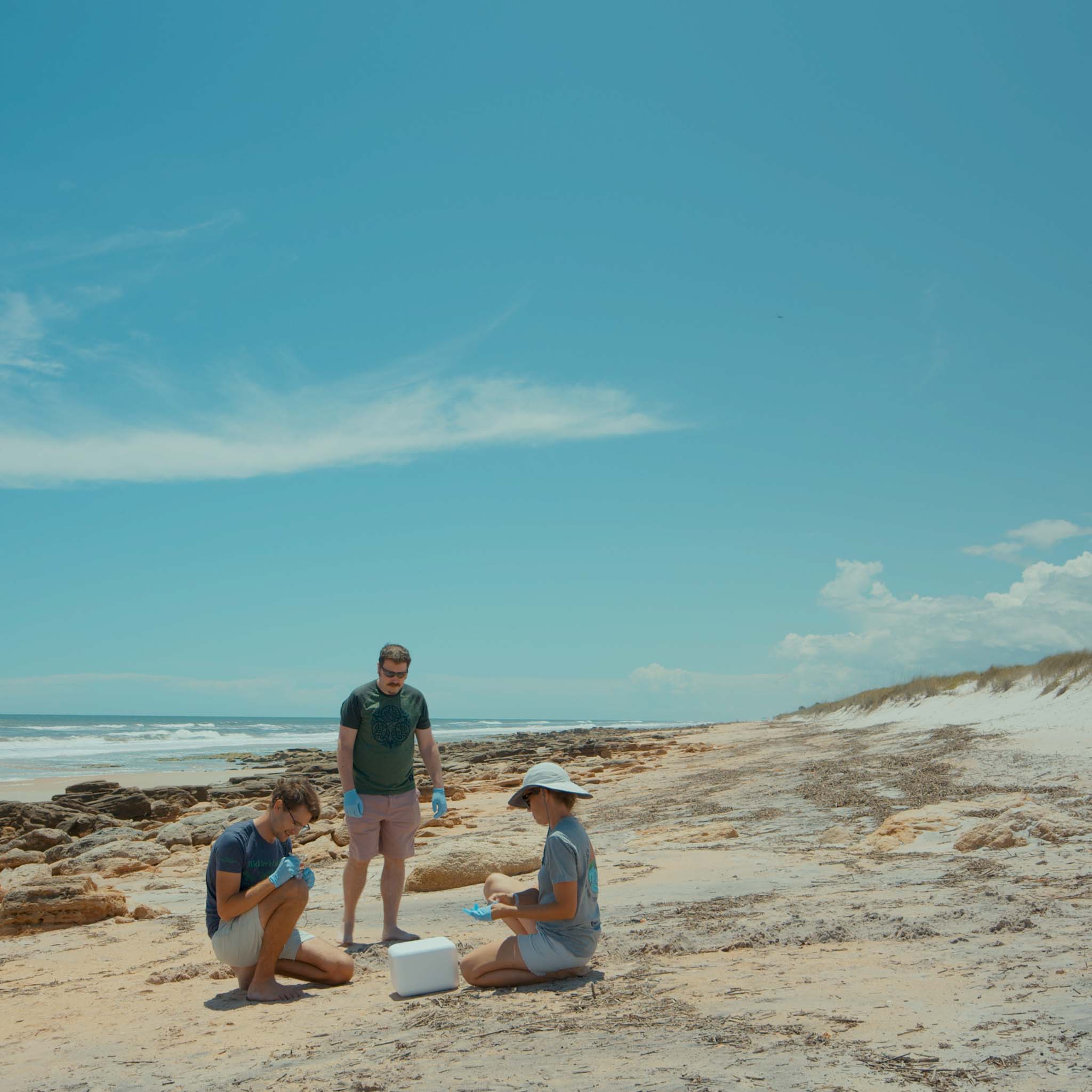 <p>Lucas Meers, a citizen scientist, Professor David Duffy and Catherine Eastman, Sea Turtle Program Hospital manager, collecting samples at River to Sea Preserve. Photo: UF/Zach Read</p>