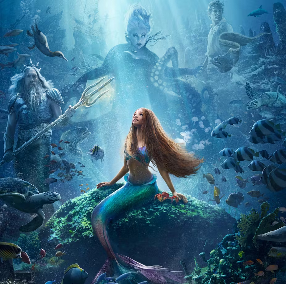 <p>Little Mermaid/Disney</p>