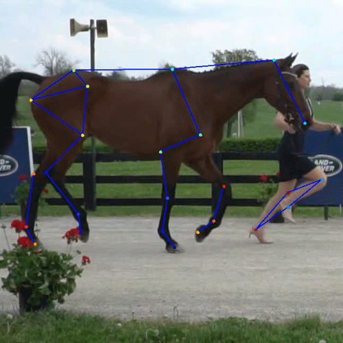 A woman and a horse are trotting with lines mapping the movement.