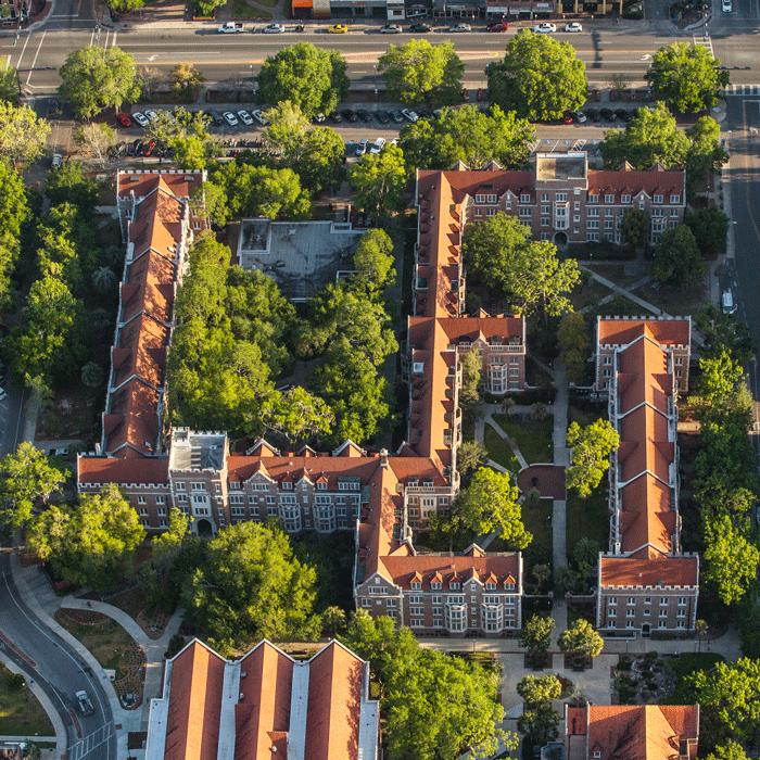 Three UF faculty elected to Academy of Science, Engineering and Medicine of Florida