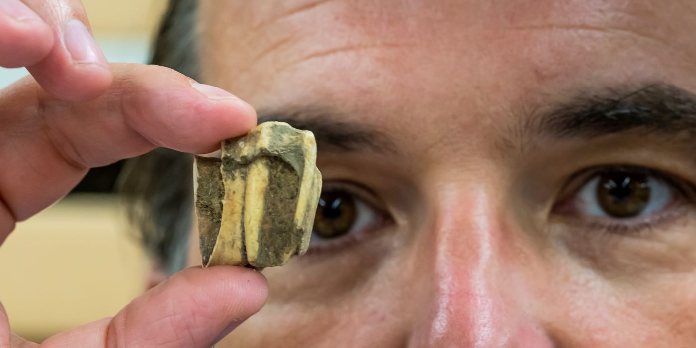 A picture of a man holding a horse tooth