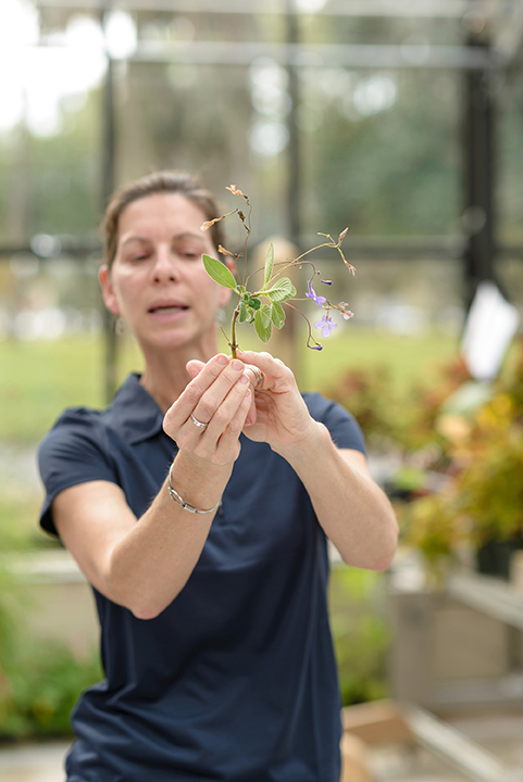 A woman in a greenhouse holds a plant.
