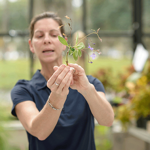 A woman in a greenhouse holds a plant.