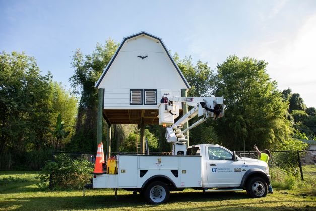 <p>EH&S staff recently attached four smaller houses to the outside of the newest barn in hopes of enticing the bats to begin the relocation process on their own. Photo: Bri Lehan/UF</p>