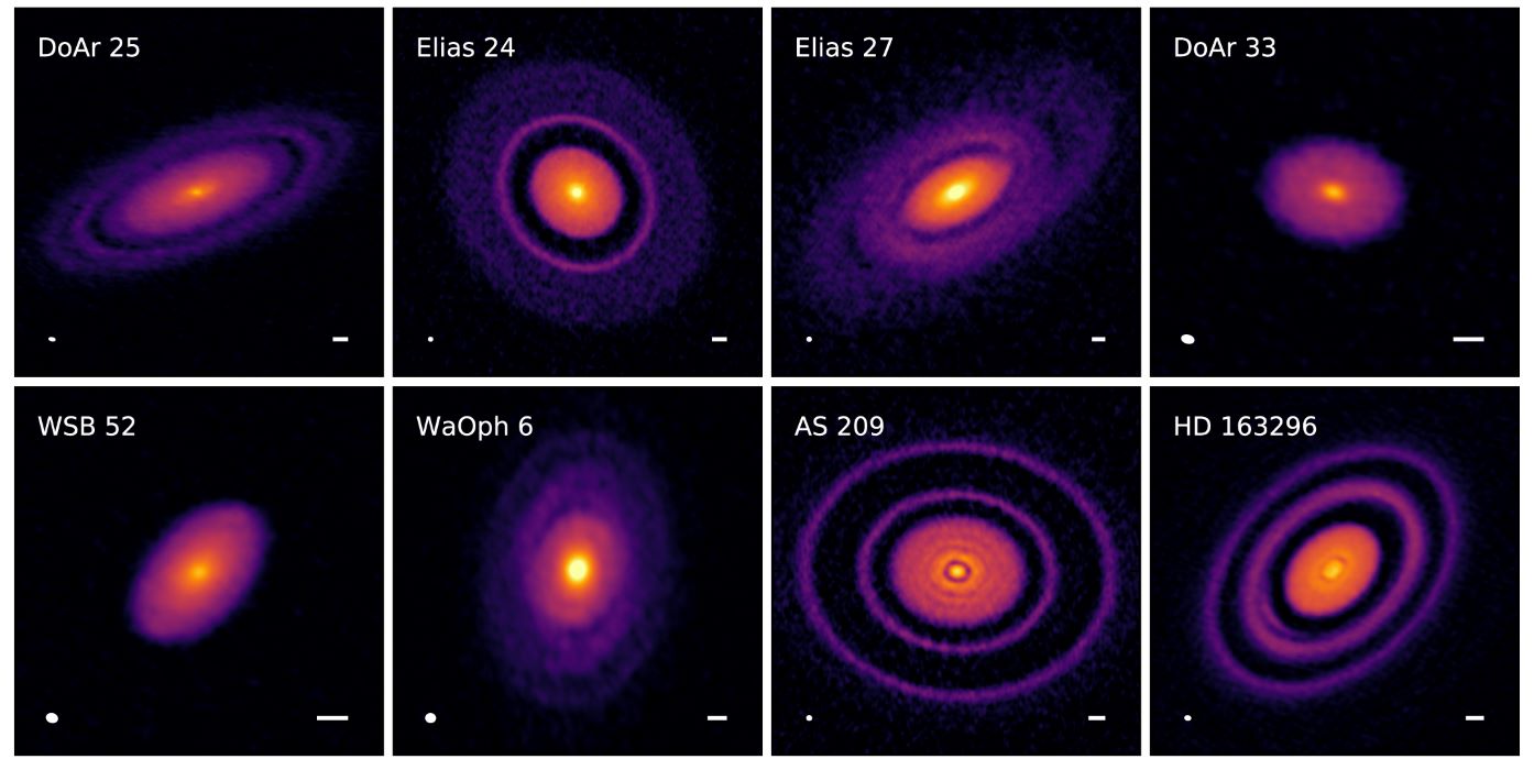 Images of several young star systems showing rings