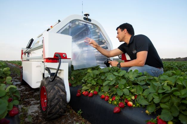 <p>The Institute of Food and Agricultural Sciences (IFAS) at UF is the No. 1 funded research engine at any university in the U.S. in the area of agriculture. Credit: UF/IFAS photo by Tyler Jones</p>