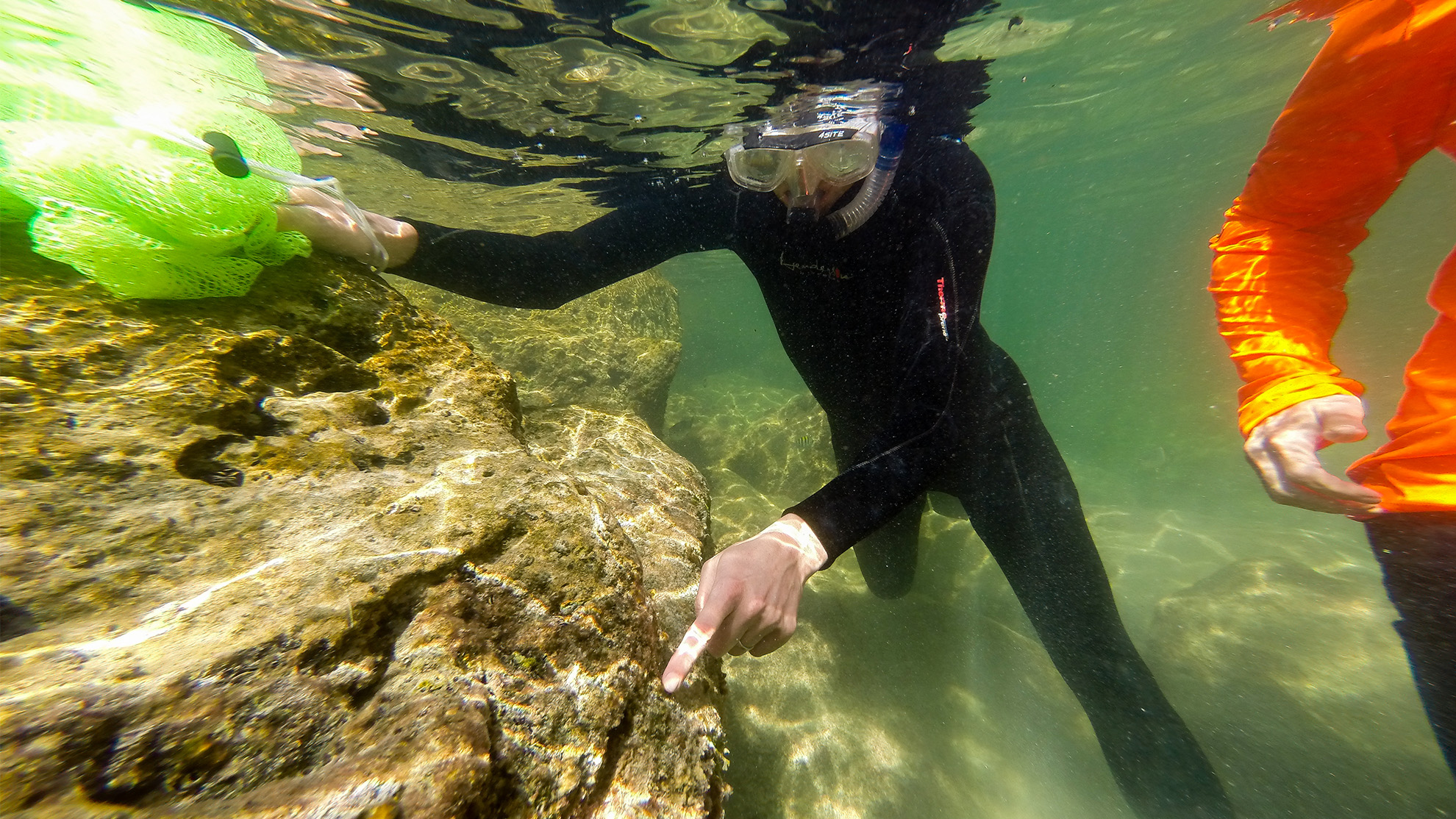 <p>Hendrik Luesch of the College of Pharmacy is part of team that will research genomic and chemical properties of marine organisms. Photo: UF</p>