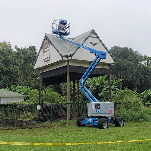 UF bat colony relocates to newest house
