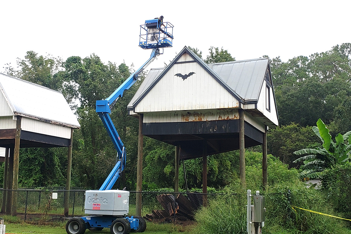 Bat House In Florida Keys at Gary Poole blog