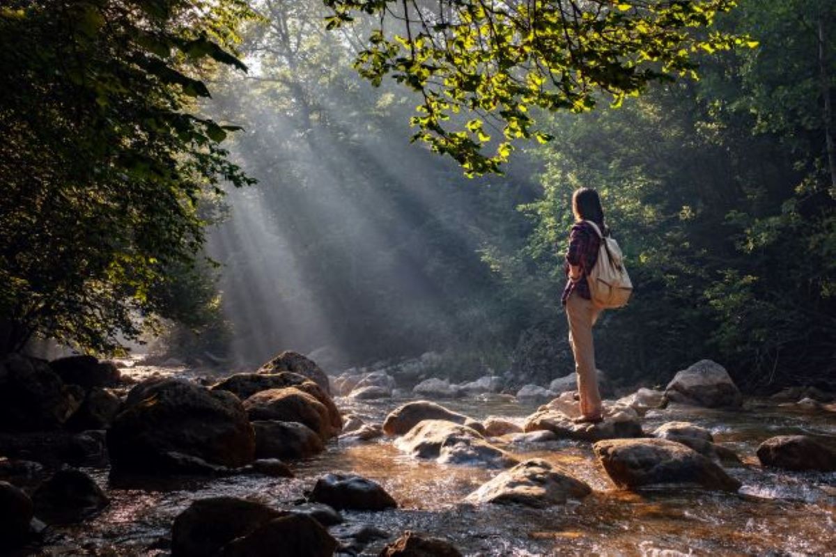 <p>Social prescribing is essentially a way that care providers can connect patients to a broad range of non-clinical services in their communities that can help support their health and wellbeing. Photo: Shutterstock</p>