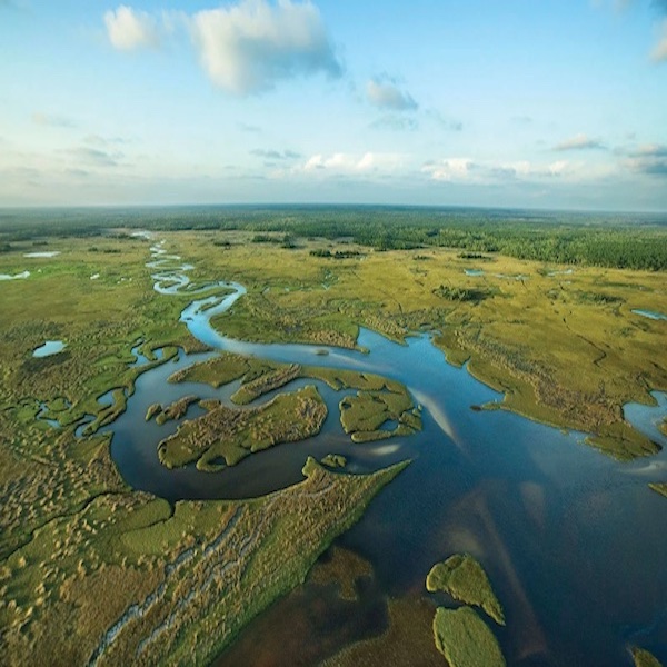 Explorers, scientist repeat historic expedition to study human impact on Florida Everglades