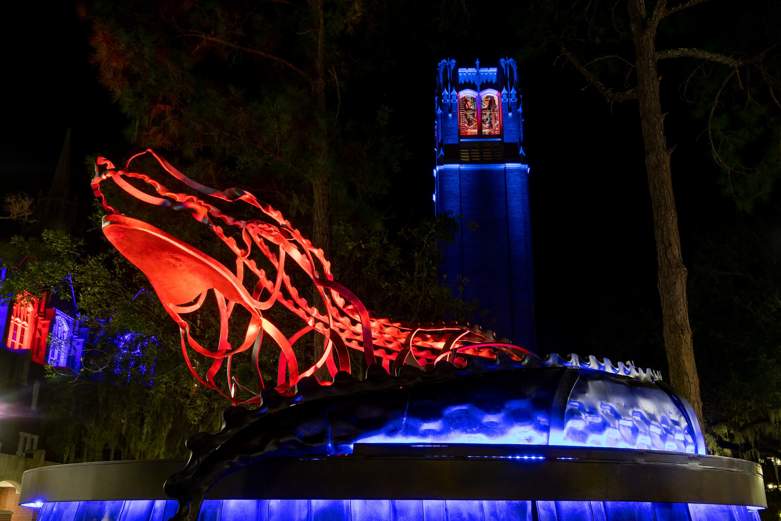 An iron alligator statue is illuminated in orange and blue with a bell tower in the background. 